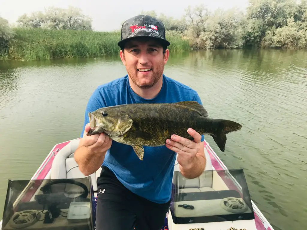 Lake Walcott Bass What Colors Do Smallmouth Bass Like?