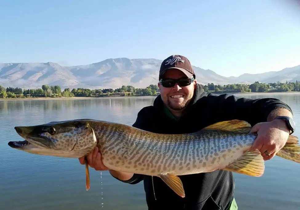 An In Depth Guide to Catching Tiger Muskie in Utah – Tilt Fishing