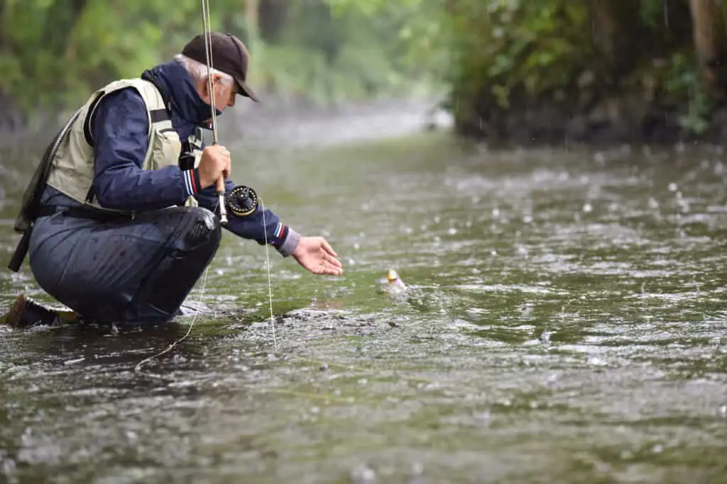 3wt travel rod